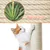 Yaheetech Arbre à Chat Multiniveau Petit Arbre à  Grimper