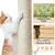 Yaheetech Arbre à Chat 86,5 cm de Haut