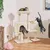 Yaheetech Arbre à Chat en Bois avec Condo