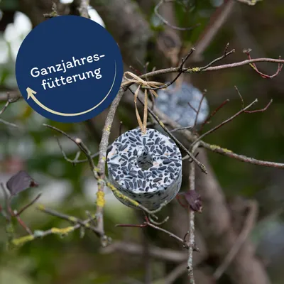 Lyra Pet® Anneau géant avec graines de tournesol