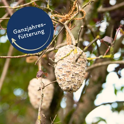 Lyra Pet® Pomme de pin géante