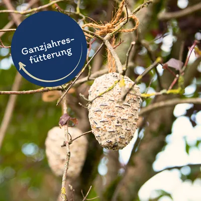 Lyra Pet® Riesenzapfen