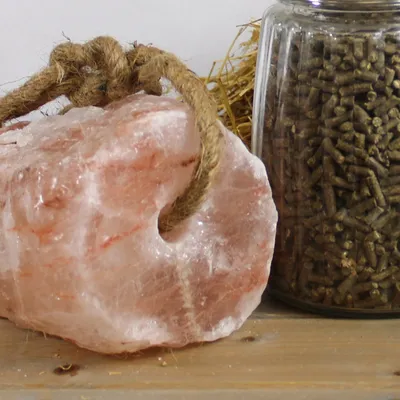 Lyra Horse® Pierre à lécher au sel Himalaya avec corde