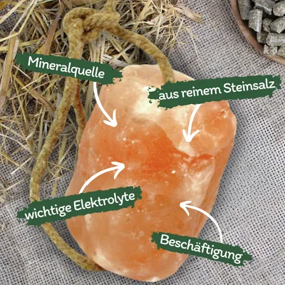 Lyra Horse® Pierre à lécher au sel Himalaya avec corde