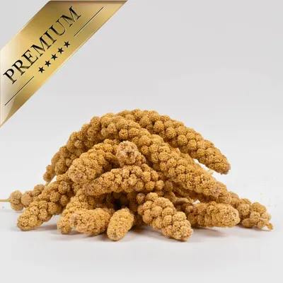 Lyra Pet® Millet en grappe jaune