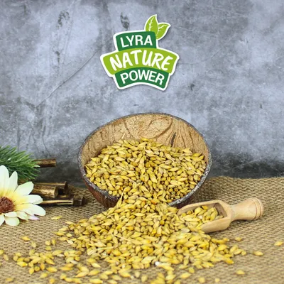 Orge non décortiquée Lyra Pet®