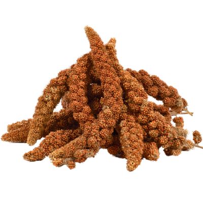 3 kg Lyra Pet® Millet en grappe rouge 15 kg Lyra Pet® Millet en grappe rouge