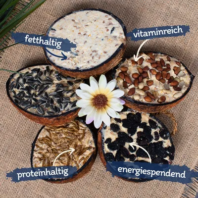 Lyra Pet® demi-noix de coco fourrée au topping