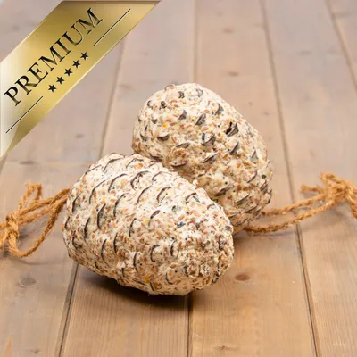 Lyra Pet® Pomme de pin géante