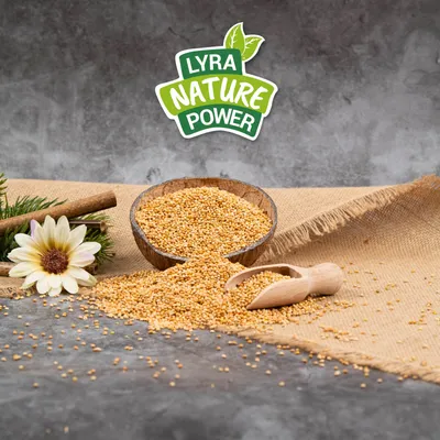 Lyra Pet® Hirse weiß gelb lose