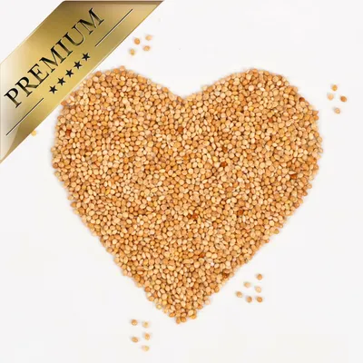 Lyra Pet® Millet blanc jaune en vrac