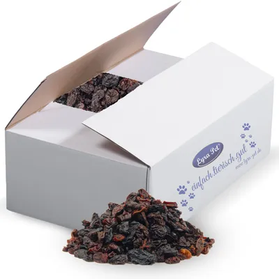 Lyra Pet® raisins secs