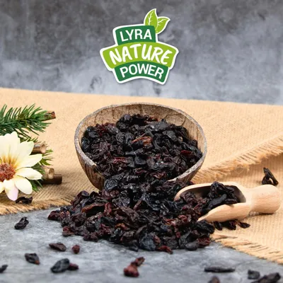 Lyra Pet® Raisins secs