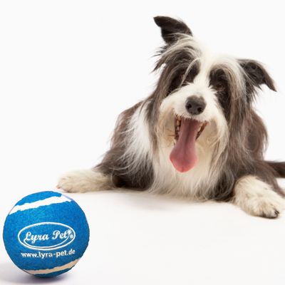 Lyra Pet® Balle de tennis