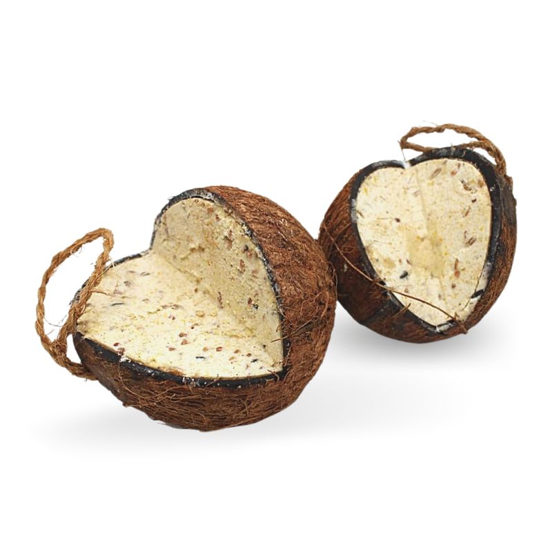 Lyra Pet® Noix de coco farcie avec coupe en V