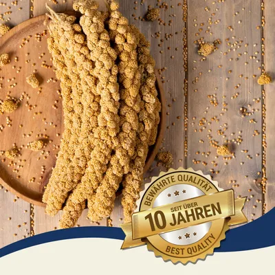 Lyra Pet® Millet en grappe jaune