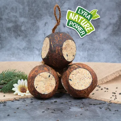 Lyra Pet® Noix de coco farcie avec trous