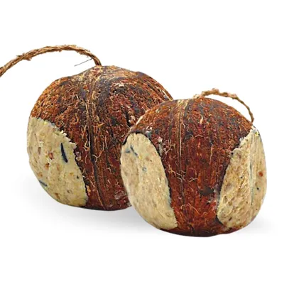 Lyra Pet® Noix de coco farcie avec trous