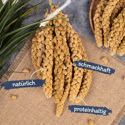 Lyra Pet® Millet en grappe jaune