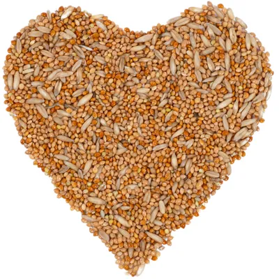 Lyra Pet® nourriture pour perruches