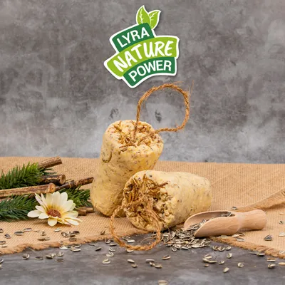 Lyra Pet® Protein Boost Körner Riegel mit Mehlwürmern