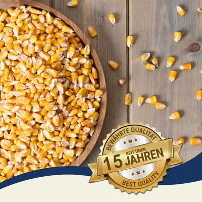 Lyra Pet® Körnermais Futtermais