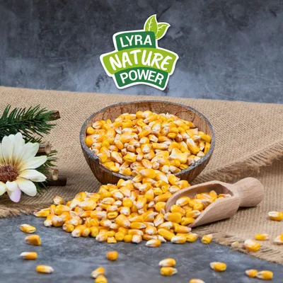 Lyra Pet® Körnermais Futtermais