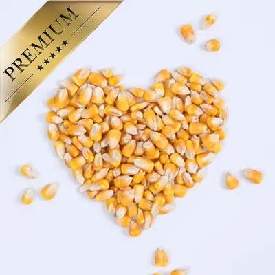 Lyra Pet® Körnermais Futtermais