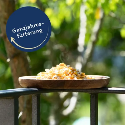 Lyra Pet® Maïs grain Maïs fourrager