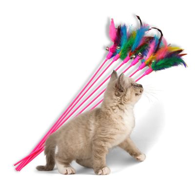 Lyra Pet® canne à pêche pour chats rose avec plume