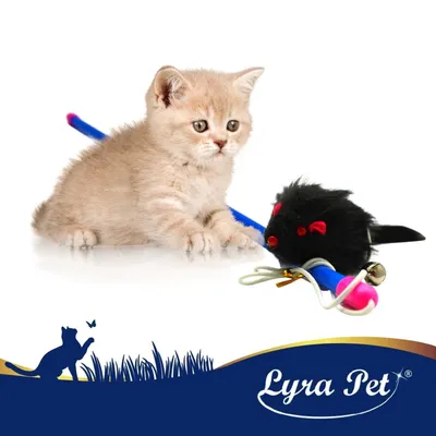 10 - 100 pcs. Lyra Pet® Canne à pêche pour chats avec souris noir 1 pce