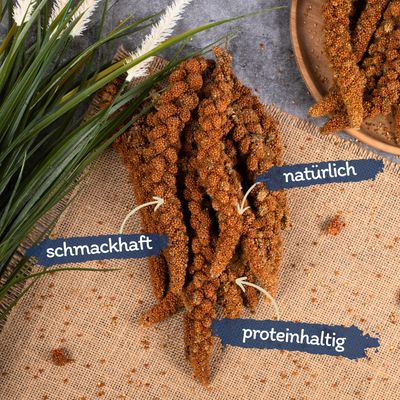 Lyra Pet® Kolbenhirse rot