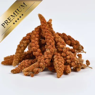 4 kg Lyra Pet® Millet en grappe rouge