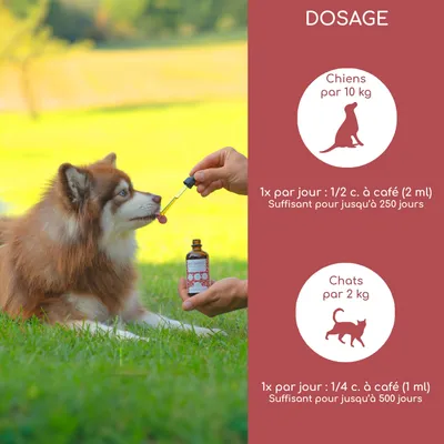 Wolfsbacher Natur Mélange d’huiles bio pour chiens