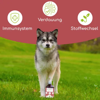 Wolfsbacher Natur Bio Barf Öl