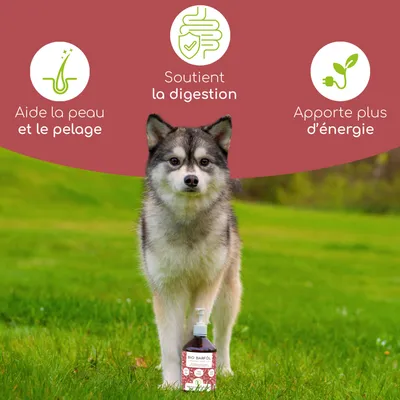Wolfsbacher Natur Mélange d’huiles bio pour chiens
