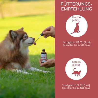 Wolfsbacher Natur Bio Barf Öl