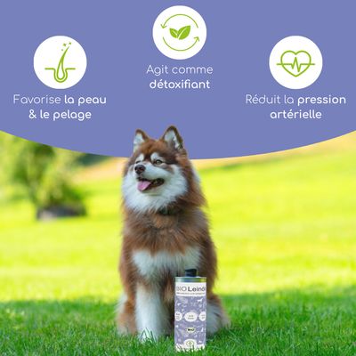 Wolfsbacher Natur Huile de lin bio pour chiens