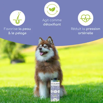 Wolfsbacher Natur Huile de Lin Bio