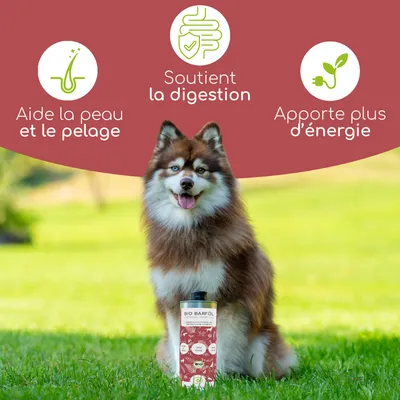 Wolfsbacher Natur Huile BARF Bio