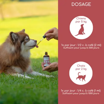 Wolfsbacher Natur Mélange d’huiles bio pour chiens