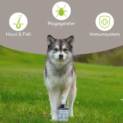 Wolfsbacher Natur Bio Schwarzkümmelöl