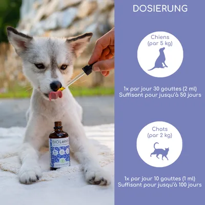 Wolfsbacher Natur Huile de Lin Bio