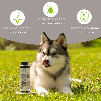 Wolfsbacher Natur Huile de Nigelle Bio