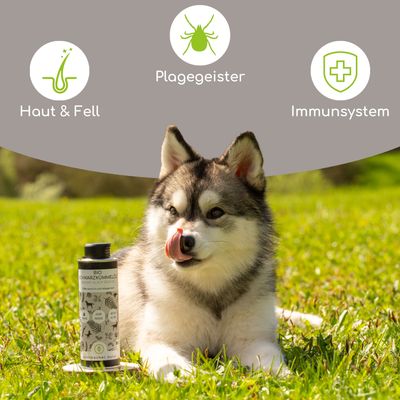 Wolfsbacher Natur Bio Schwarzkümmelöl für Hunde