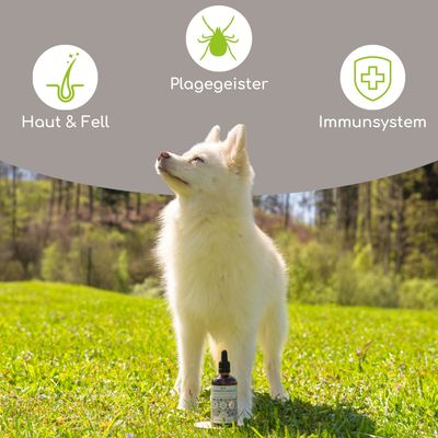 Wolfsbacher Natur Bio Schwarzkümmelöl für Hunde
