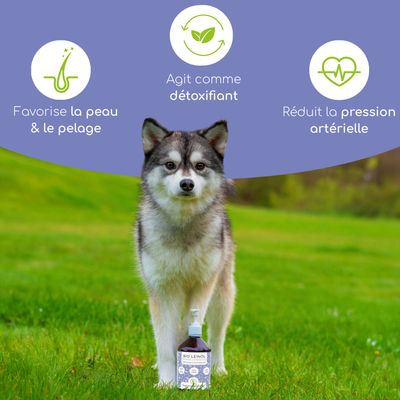 Wolfsbacher Natur Huile de lin bio pour chiens