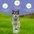 Wolfsbacher Natur Huile de Lin Bio