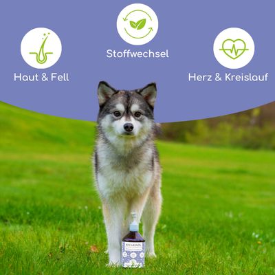 Wolfsbacher Natur Bio Leinöl für Hunde