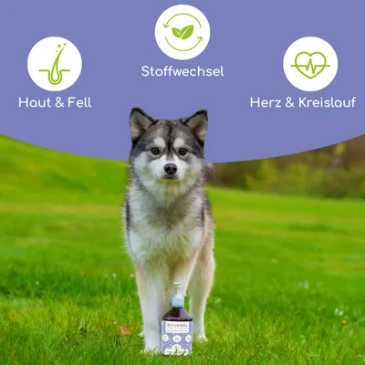 Wolfsbacher Natur Bio Leinöl